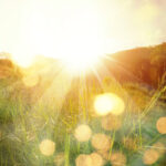 nature bienfaits