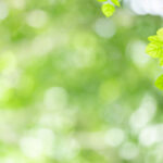 printemps énergie