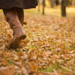 Pourquoi novembre est un bon mois pour ralentir et écouter son corps ? automne bien-être