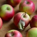 Quels aliments privilégier en septembre pour renforcer son immunité ? immunité septembre